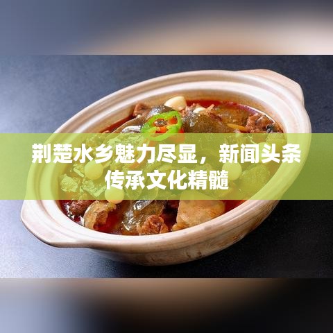 荆楚水乡魅力尽显，新闻头条传承文化精髓