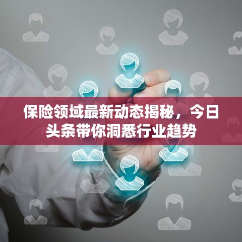 保险领域最新动态揭秘，今日头条带你洞悉行业趋势