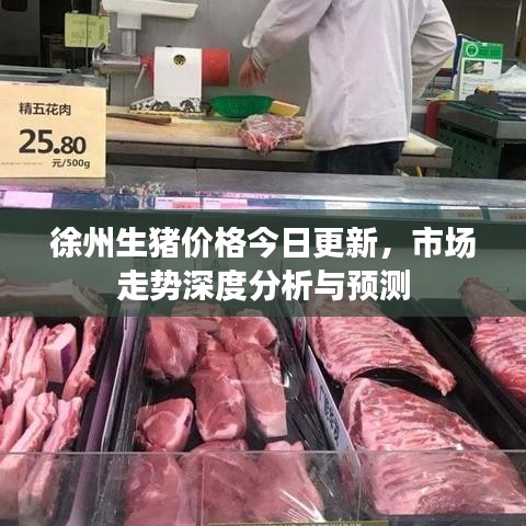 徐州生猪价格今日更新，市场走势深度分析与预测
