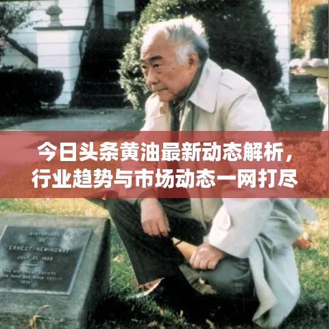 今日头条黄油最新动态解析，行业趋势与市场动态一网打尽