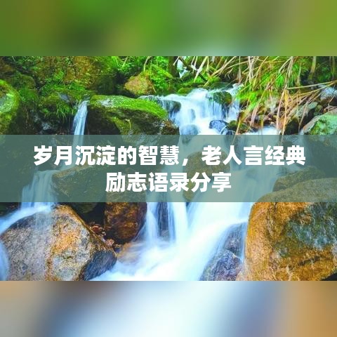2025年5月3日 第35页