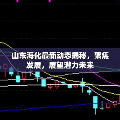 山东海化最新动态揭秘，聚焦发展，展望潜力未来