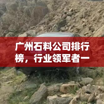 广州石料公司排行榜，行业领军者一览