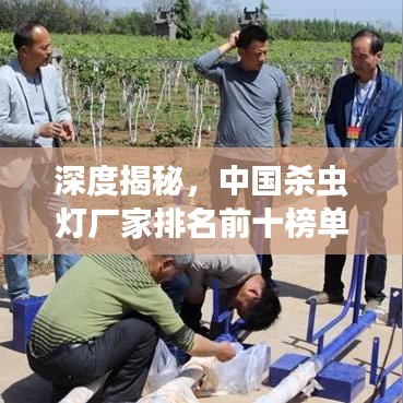 深度揭秘，中国杀虫灯厂家排名前十榜单解析