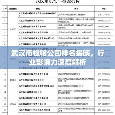 武汉市检验公司排名揭晓，行业影响力深度解析