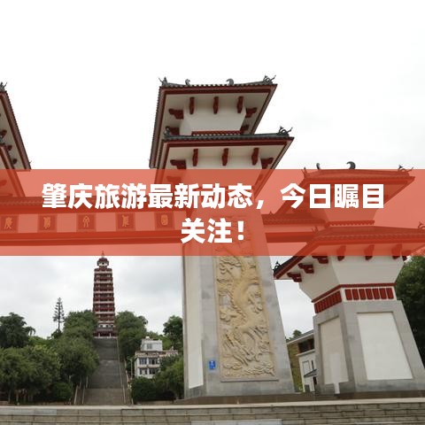 肇庆旅游最新动态，今日瞩目关注！