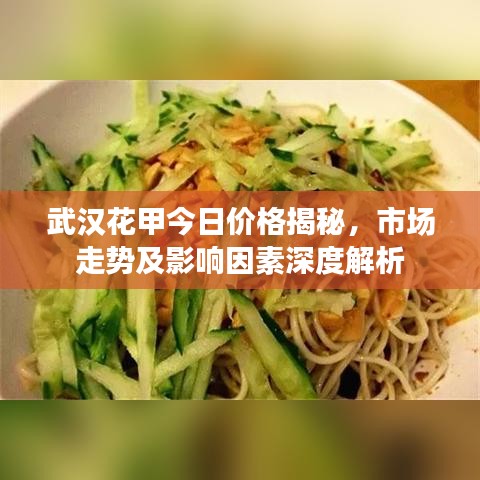 武汉花甲今日价格揭秘，市场走势及影响因素深度解析