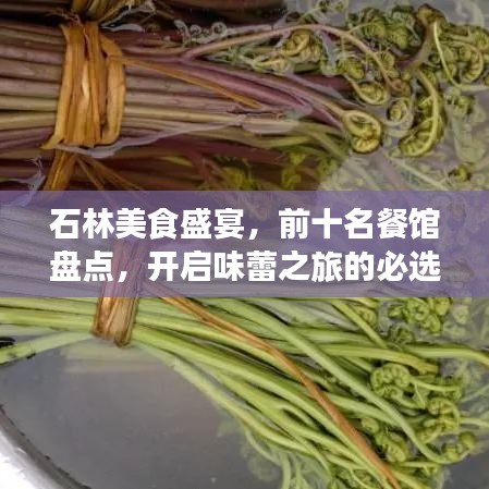 石林美食盛宴，前十名餐馆盘点，开启味蕾之旅的必选之地！