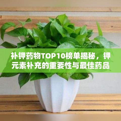 补钾药物TOP10榜单揭秘，钾元素补充的重要性与最佳药品选择指南