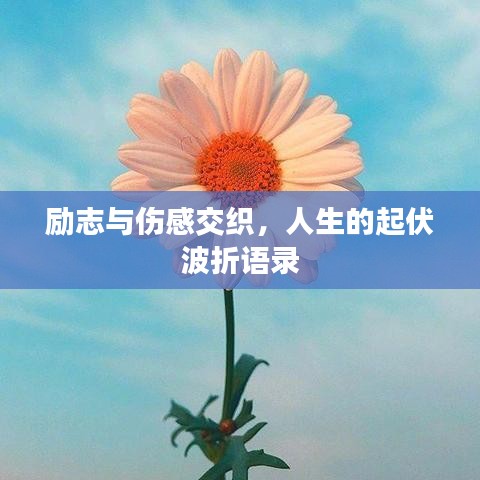 2025年5月5日 第6页