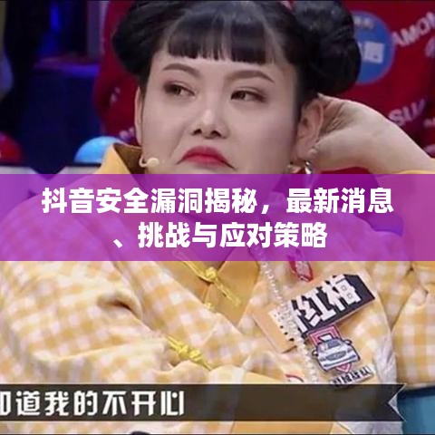 抖音安全漏洞揭秘，最新消息、挑战与应对策略