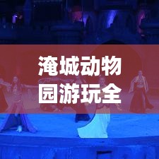 淹城动物园游玩全攻略，探索动物世界的精彩之旅