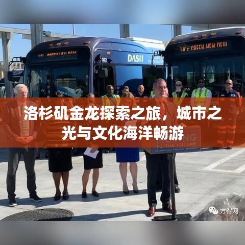 洛杉矶金龙探索之旅，城市之光与文化海洋畅游