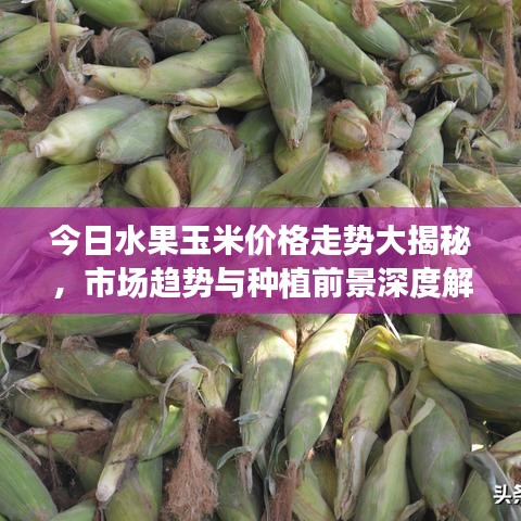 随时随地