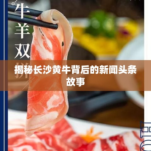揭秘长沙黄牛背后的新闻头条故事