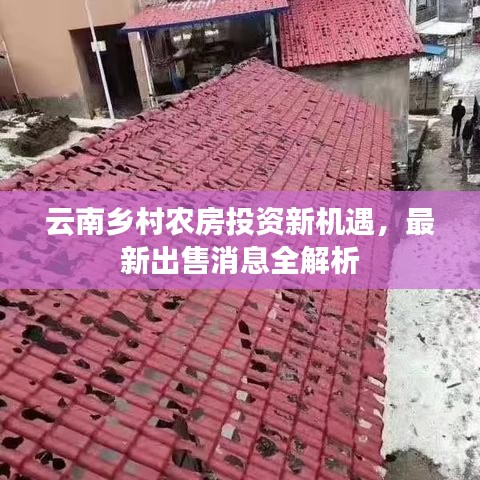 云南乡村农房投资新机遇，最新出售消息全解析