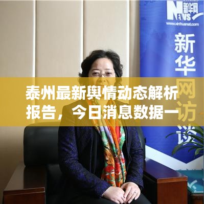 泰州最新舆情动态解析报告，今日消息数据一网打尽