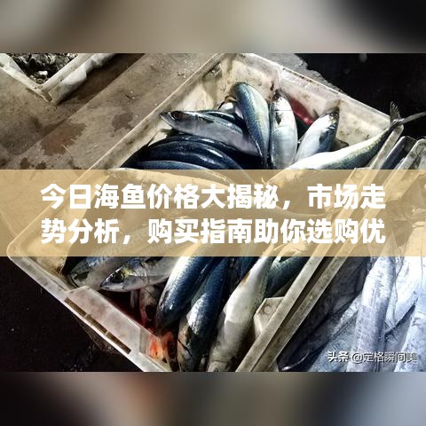 今日海鱼价格大揭秘，市场走势分析，购买指南助你选购优质海鲜