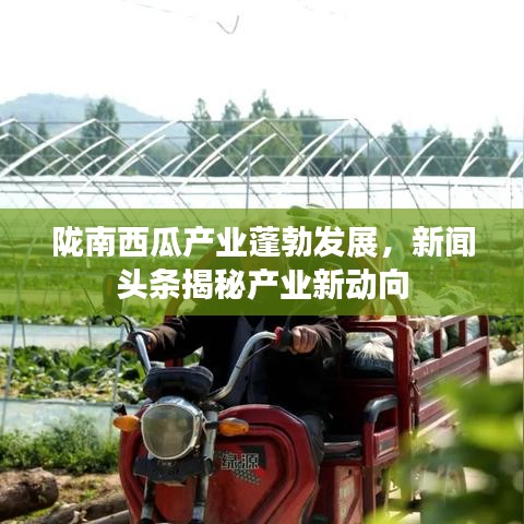 臼灶生蛙