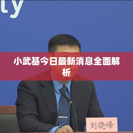 小武基今日最新消息全面解析