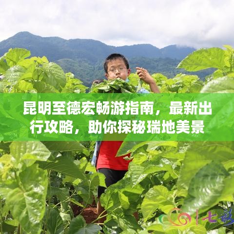 长安米贵