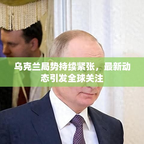 橘虞初梦