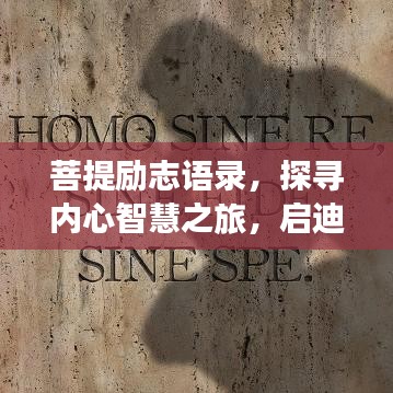 菩提励志语录，探寻内心智慧之旅，启迪心灵成长之路