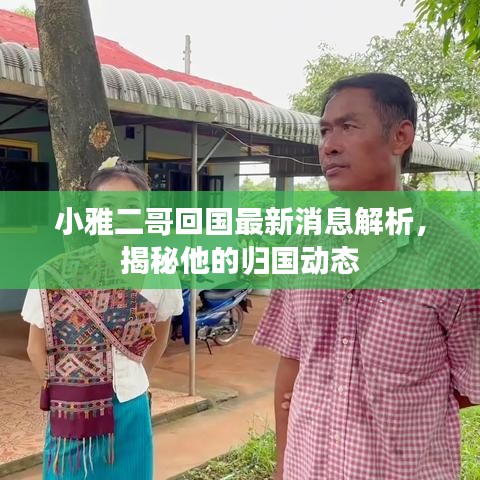 小雅二哥回国最新消息解析，揭秘他的归国动态