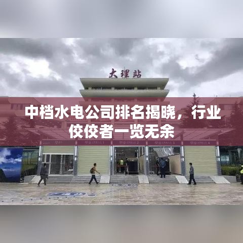 中档水电公司排名揭晓，行业佼佼者一览无余