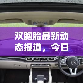 双胞胎最新动态报道，今日消息一览无余