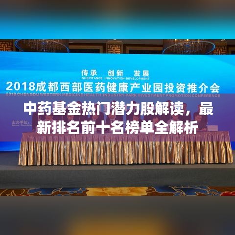 中药基金热门潜力股解读，最新排名前十名榜单全解析