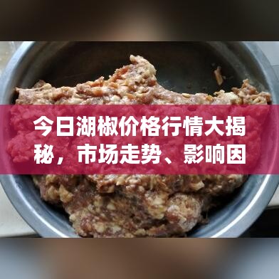 无拘无束