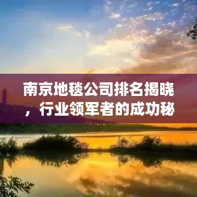 南京地毯公司排名揭晓，行业领军者的成功秘诀解读