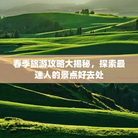 春季旅游攻略大揭秘，探索最迷人的景点好去处