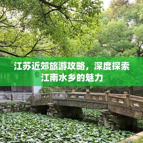广告资源 第7页
