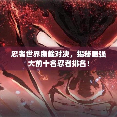 资讯公告 第7页