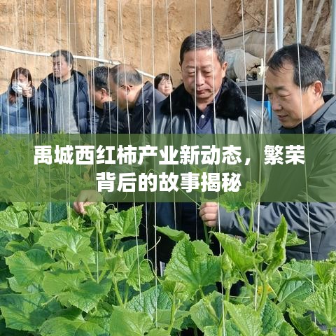 实力资源 第8页