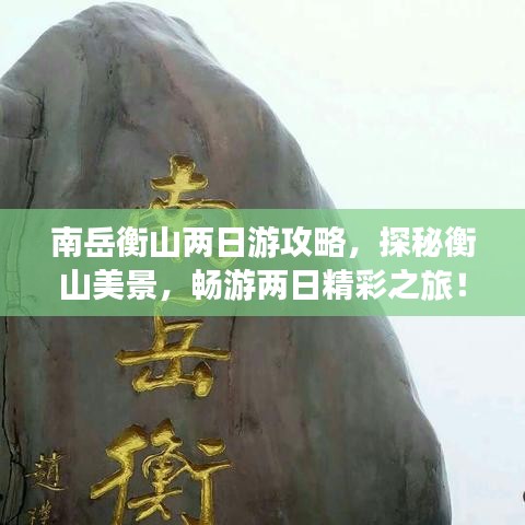 资讯公告 第6页