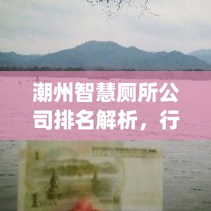 潮州智慧厕所公司排名解析，行业领军者的成功之道探索
