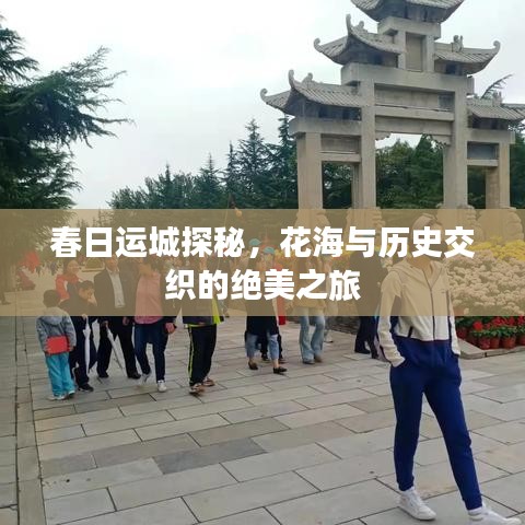 实力资源 第6页