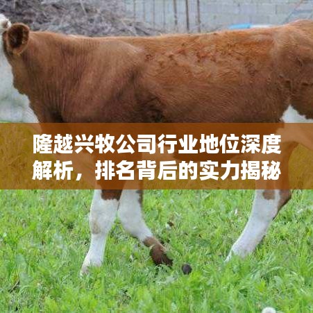 实力资源 第5页