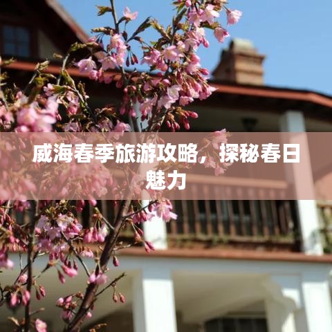 威海春季旅游攻略，探秘春日魅力