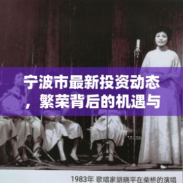 宁波市最新投资动态，繁荣背后的机遇与挑战今日揭晓