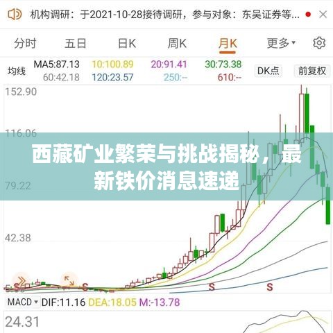 西藏矿业繁荣与挑战揭秘，最新铁价消息速递