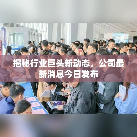揭秘行业巨头新动态，公司最新消息今日发布
