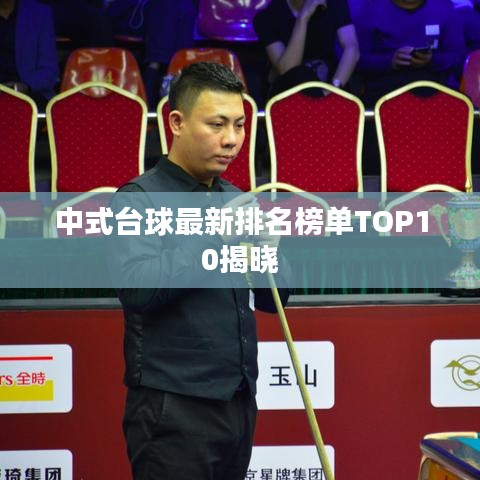 中式台球最新排名榜单TOP10揭晓