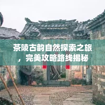 茶陵古韵自然探索之旅，完美攻略路线揭秘