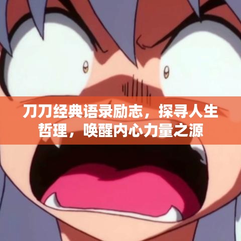 作品展示 第4页