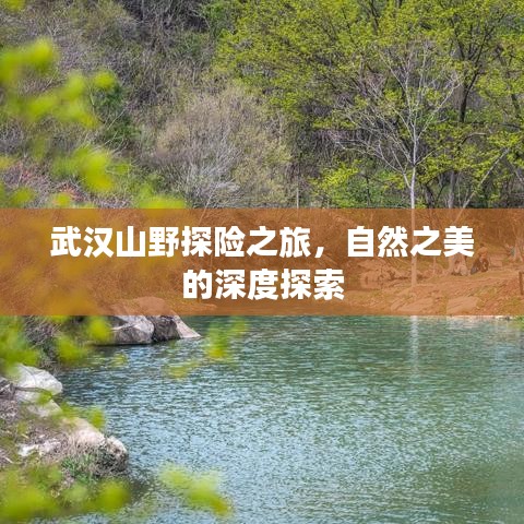 武汉山野探险之旅，自然之美的深度探索