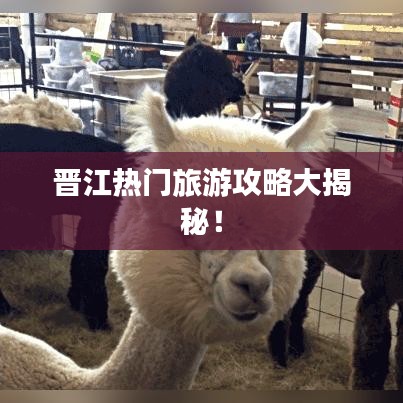 晋江热门旅游攻略大揭秘！
